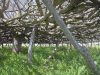 formentera-passeggiate-trekking