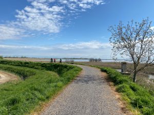 Lignano Sabbiadoro e Laguna di Marano in bicicletta: cicloturismo di là dal fiume e tra gli alberi