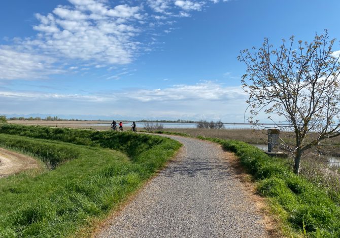 Lignano Sabbiadoro e Laguna di Marano in bicicletta: cicloturismo di là dal fiume e tra gli alberi