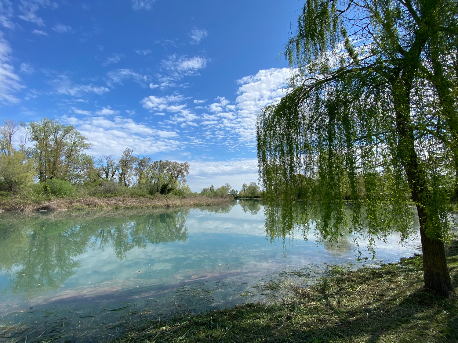 Lignano Sabbiadoro e Laguna di Marano in bicicletta: cicloturismo di là dal fiume e tra gli alberi