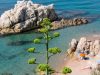 la-spiaggia-de-la-roca-grossa-tra-calella-e-sant-pol-de-mar-foto-ajuntament-de-calella