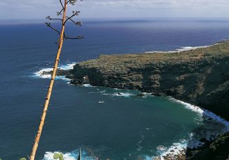 Tenerife, che attività fare nell’estate 2023