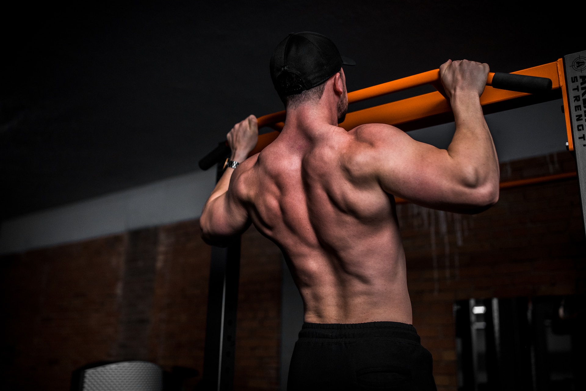 Building muscle does not depend on slow or fast fibers