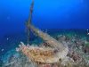 ancora-foto-di-riccardo-burallli-diving-in-elba