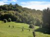 trail-del-cinghiale-14