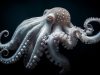 calamari-seppie-e-polpi-possono-modificare-lrna-modificandolo-al-volo-e-consentendo-una-rapida-risposta-fisiologica-ai-cambiamenti-ambientali