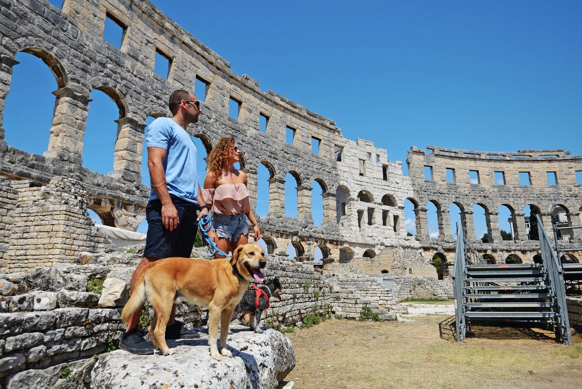 Istria pet friendly: spiagge, ristoranti, sentieri, campeggi e parchi naturali a misura di Fido