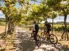 gorlago-itinerari-in-bici