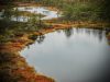 il-bog-di-kakerdaja-in-estonia