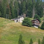 Le malghe di essiccazione dei mannelli di fava