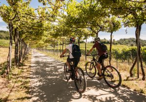 bergamo-e-dintorni-in-bici-6-percorsi-da-gorlago