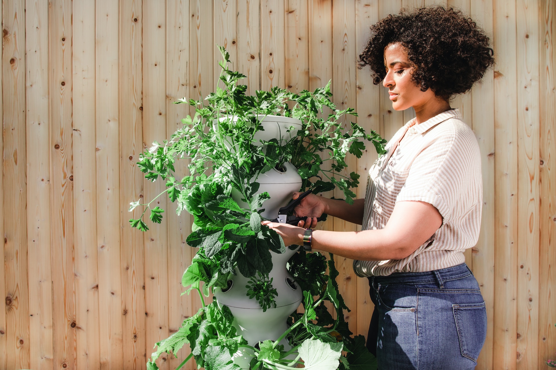 Perché dovresti cominciare a fare giardinaggio