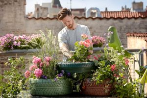 Perché dovresti cominciare a fare giardinaggio