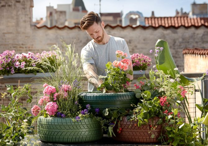 Perché dovresti cominciare a fare giardinaggio