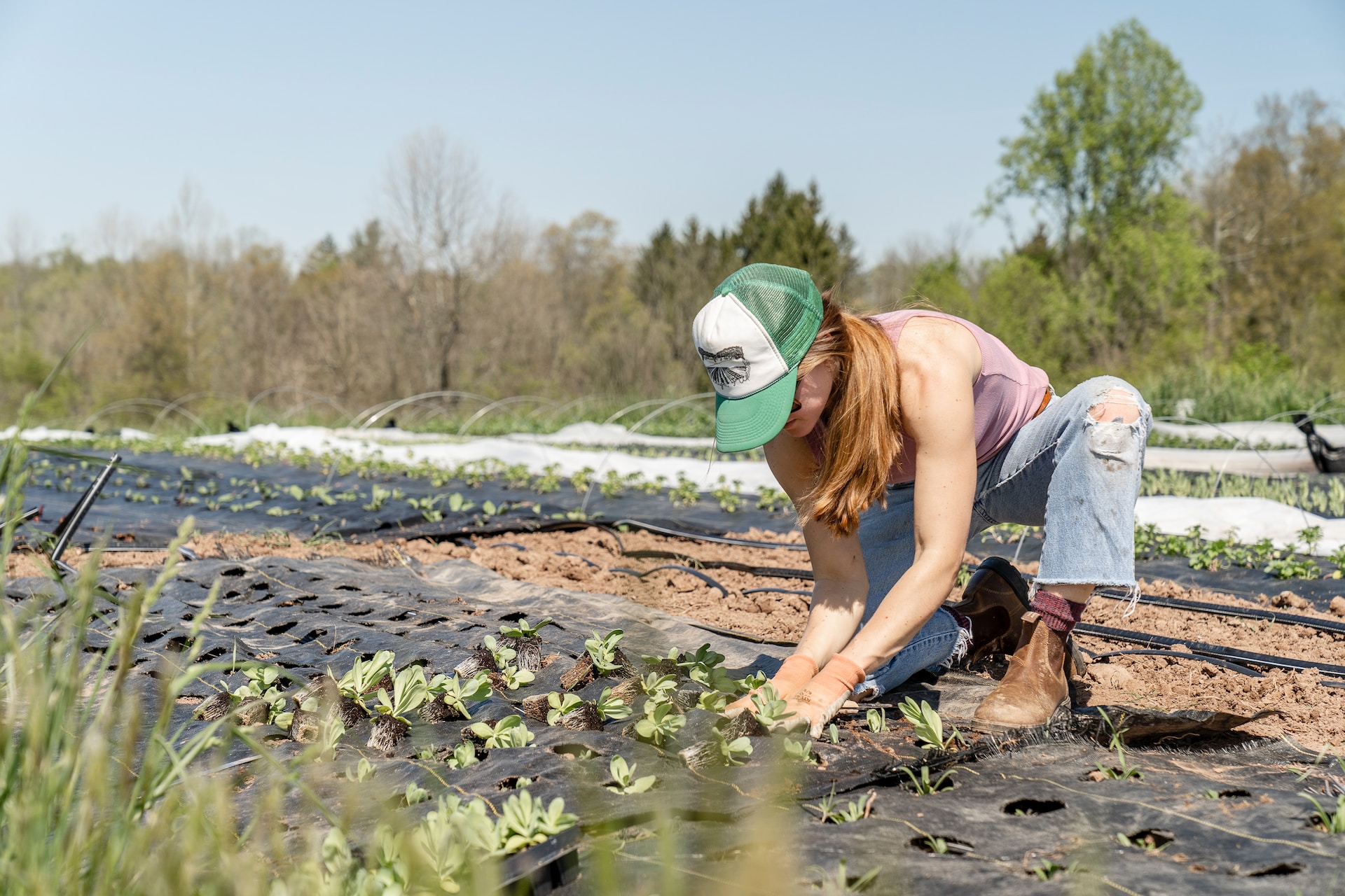 Perché dovresti cominciare a fare giardinaggio