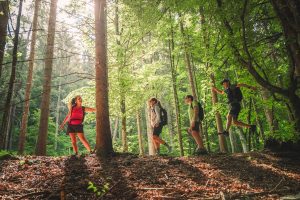 Forest Bathing nel Garda Trentino a misura di famiglia