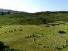 beagmore-stone-circles