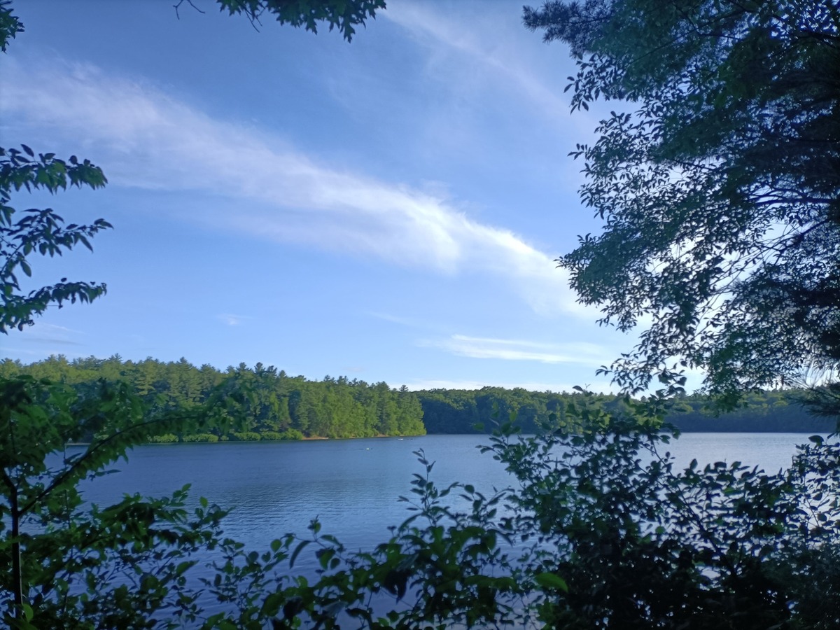 Pellegrinaggio a Walden Pond