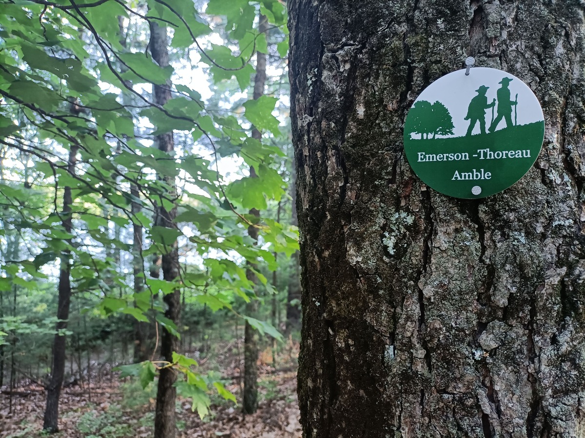 Pellegrinaggio a Walden Pond