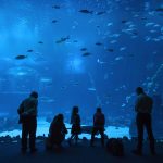 Il Poema del Mar a Gran Canaria