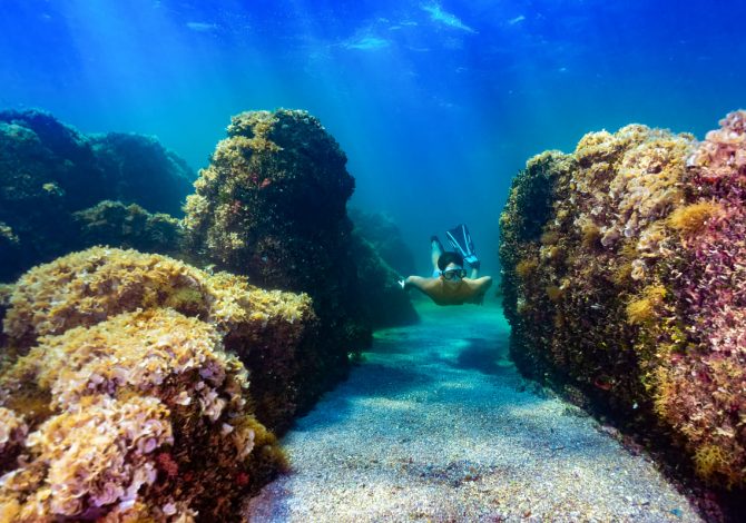 Dove fare snorkeling in Istria: i 7 fondali più belli per le immersioni