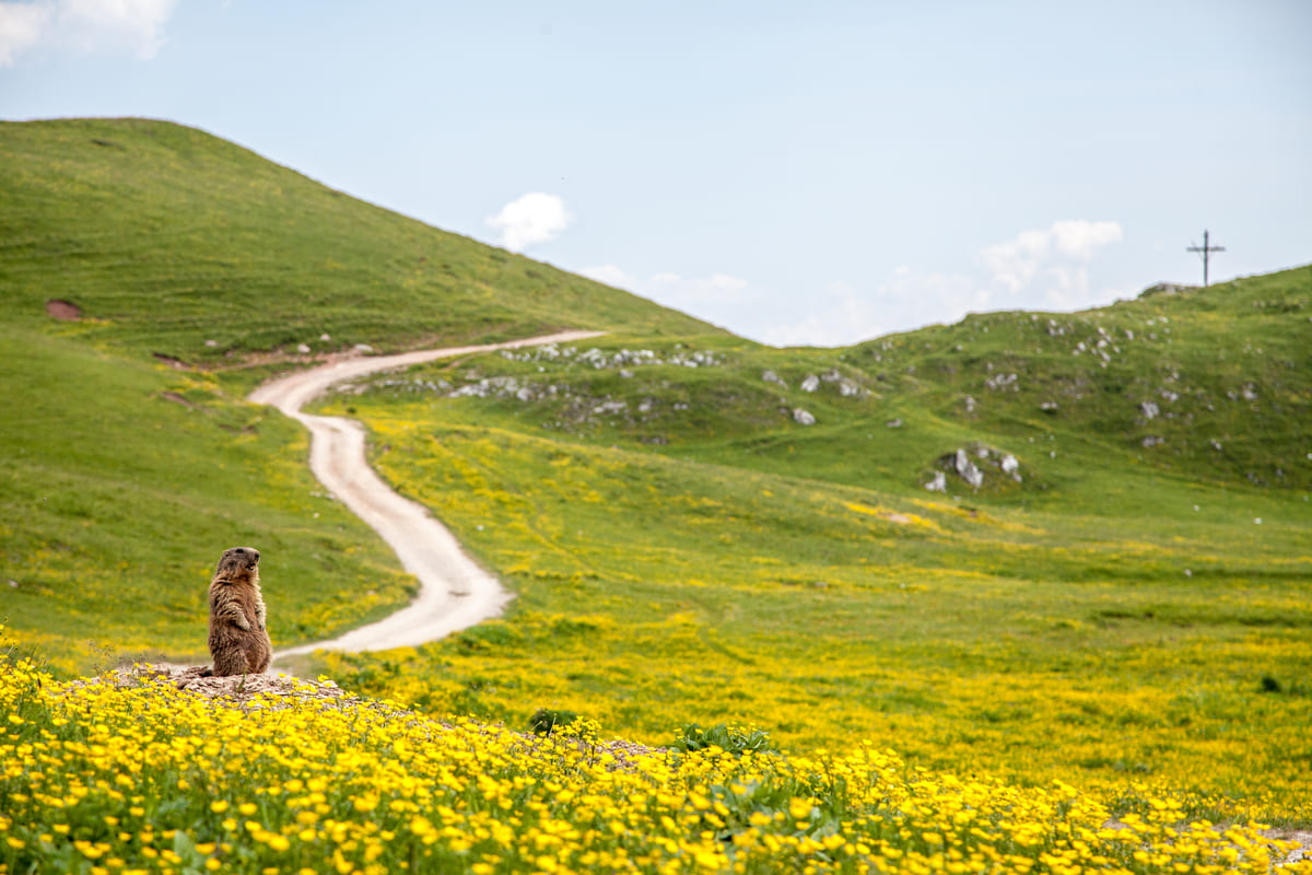 Estate in Val di Non: fresco, avventura e relax per tutti