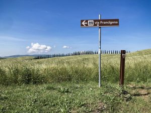 I tre prodotti indispensabili per il tuo primo cammino (e come non sbagliare a sceglierli)