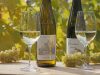 vino-e-gourmet-autunno-a-naturnoidm-alto-adigefrieder-blickle