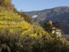 suedtirol-vinschgau-naturns-herbst-2010