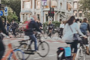 La convivenza tra ciclisti e automobilisti? È una questione di comportamento di branco