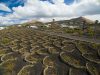 lanzarote-bodegas-martinon