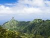 canarie-autunno