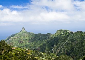 canarie-autunno