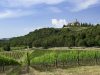 castello-banfi-toscana