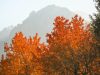 dolomiti-i-colori-del-foliage