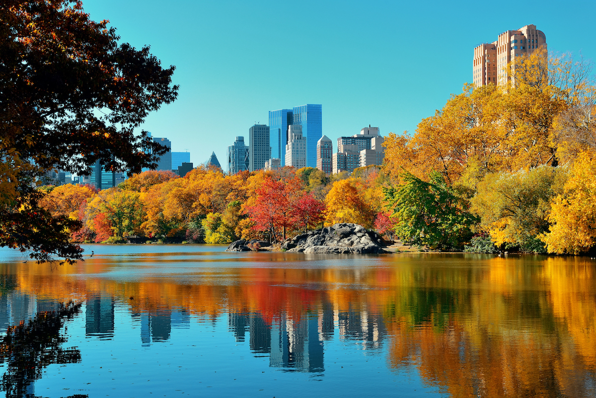 New York Central Park