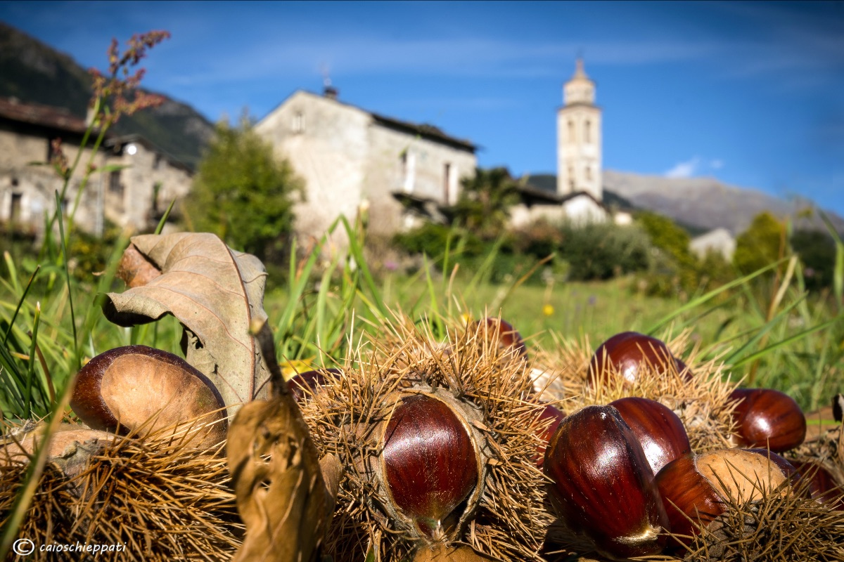 Autunno a Bormio: foliage, castagne, trekking e bramito dei cervi in amore