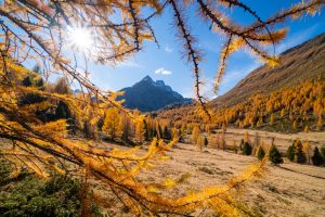 Autunno a Bormio: foliage, castagne, trekking e bramito dei cervi in amore