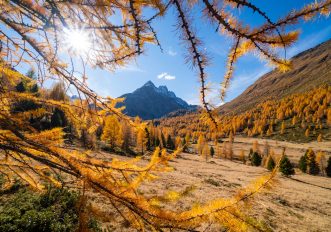 Autunno a Bormio: foliage, castagne, trekking e bramito dei cervi in amore