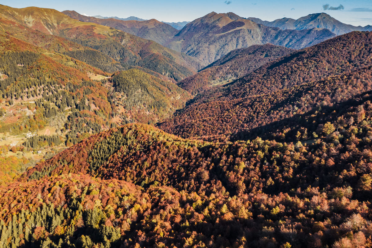 Autunno in Oasi Zegna, nell'incanto della natura che si trasforma