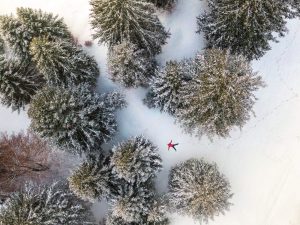 Arriva l'inverno in Dolomiti Paganella: la neve per tutti i gusti