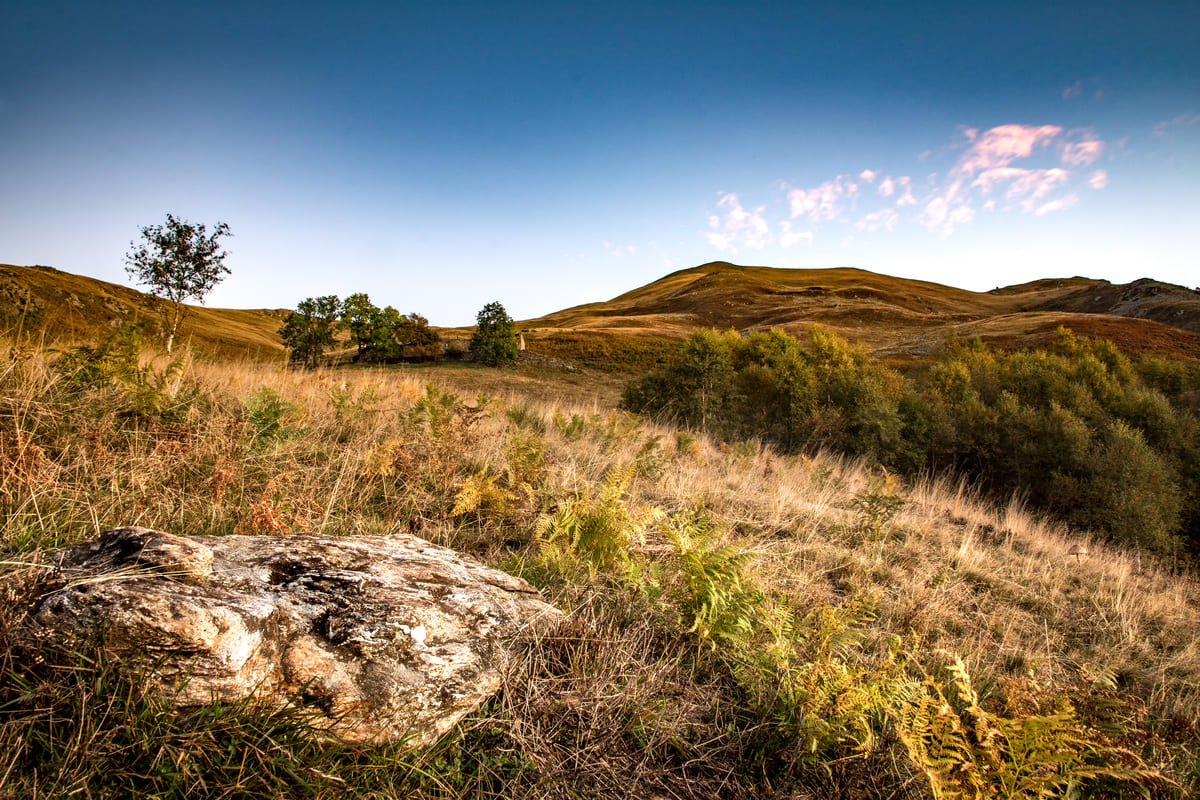 Autunno in Oasi Zegna, nell'incanto della natura che si trasforma