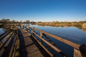 Perché scoprire l'autunno in laguna a Lignano Sabbiadoro