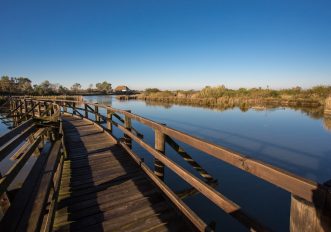 Perché scoprire l'autunno in laguna a Lignano Sabbiadoro