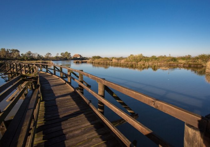 Perché scoprire l'autunno in laguna a Lignano Sabbiadoro