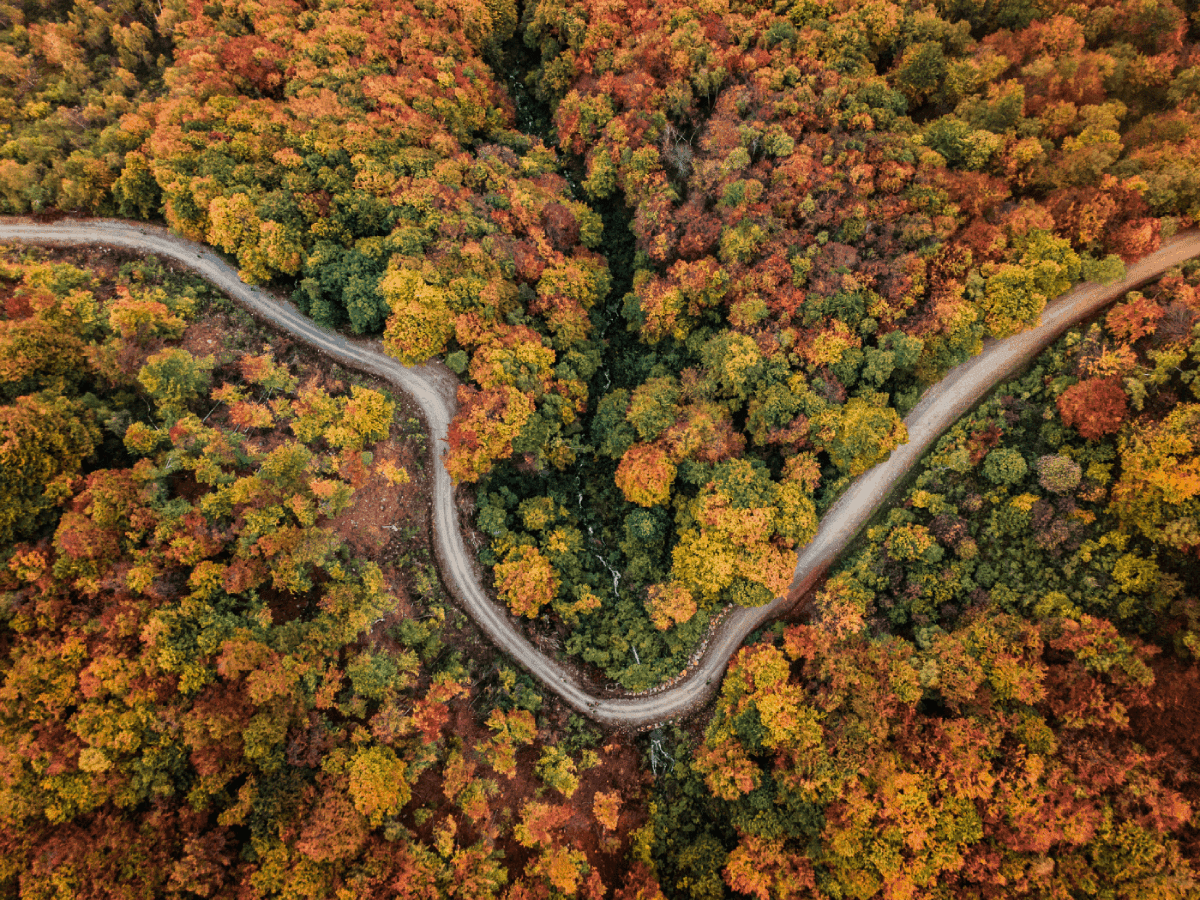 Autunno in Oasi Zegna, nell'incanto della natura che si trasforma