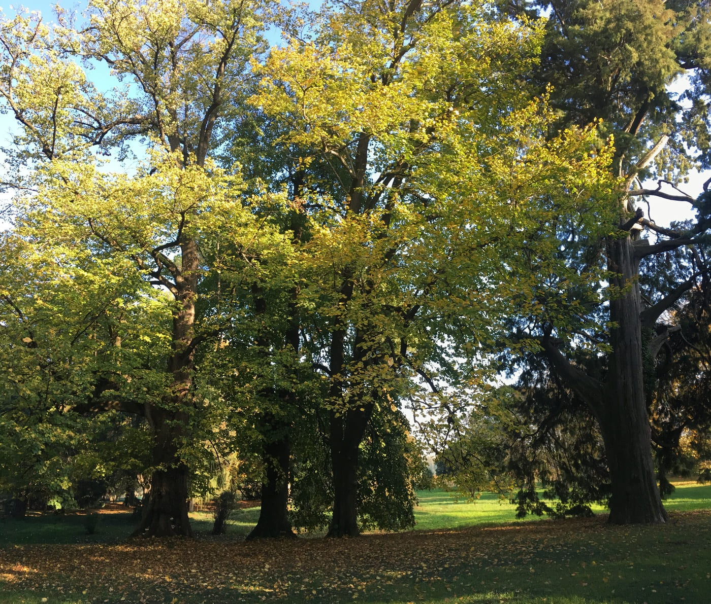 I luoghi del foliage: le Dimore Storiche del Veneto