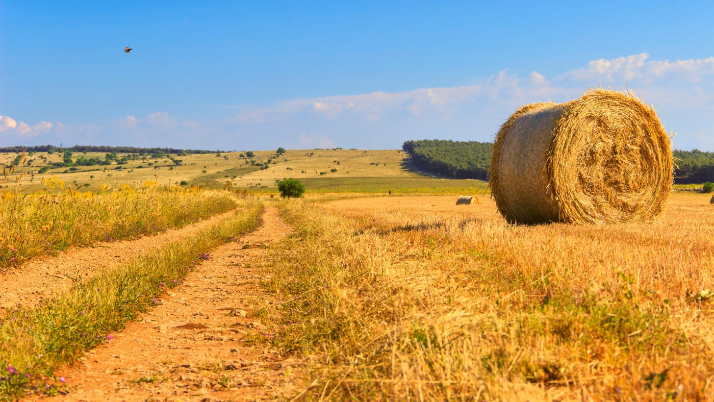 5 gite in camper in autunno tra borghi e sagre