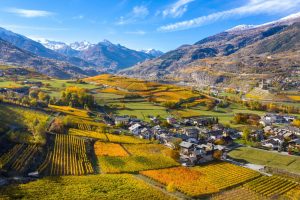 Autunno in Valle d'Aosta tra foliage ed enogastronomia