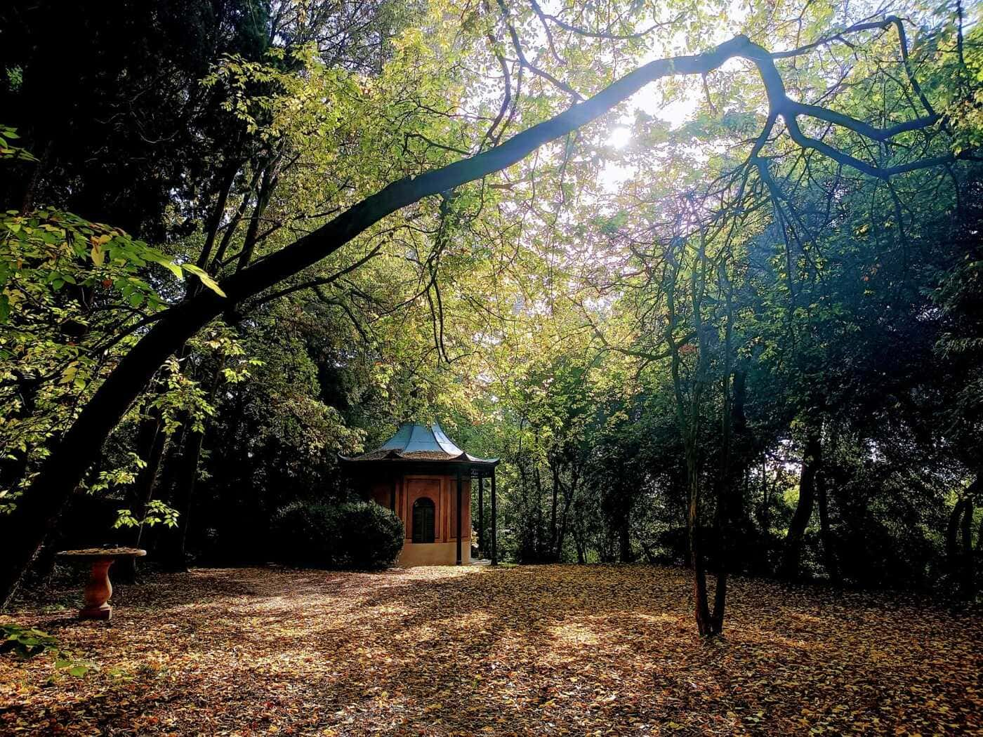 I luoghi del foliage: le Dimore Storiche del Veneto